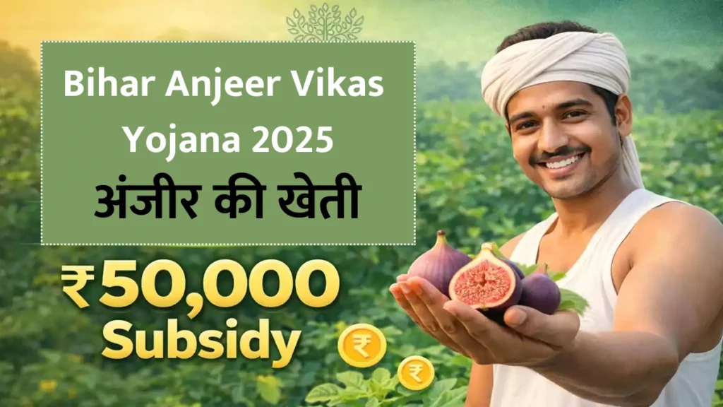 Bihar Anjeer Vikas Yojana 2026